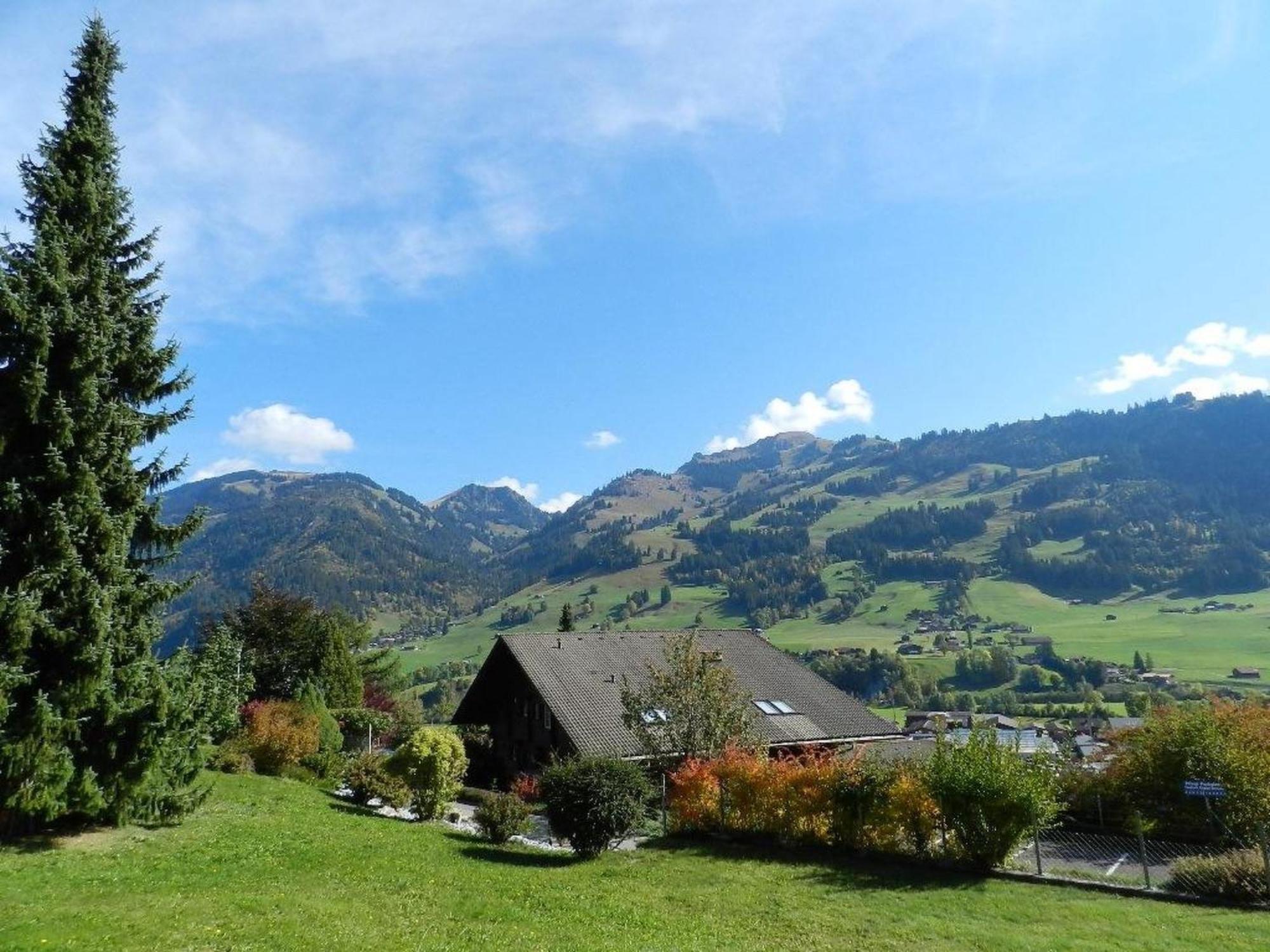 Apartment Fink By Interhome Zweisimmen Bagian luar foto